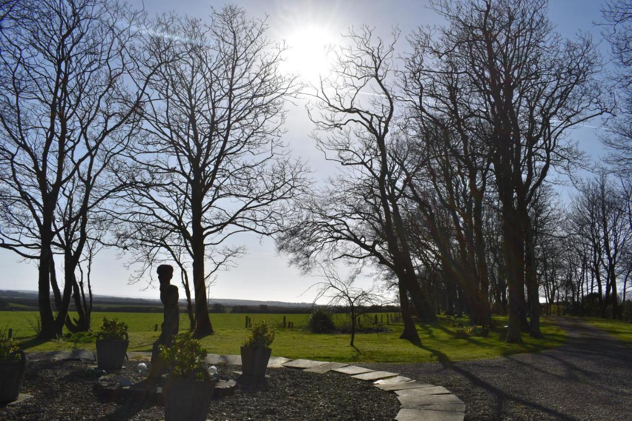 Crug Glas Country House St. Davids  Bagian luar foto