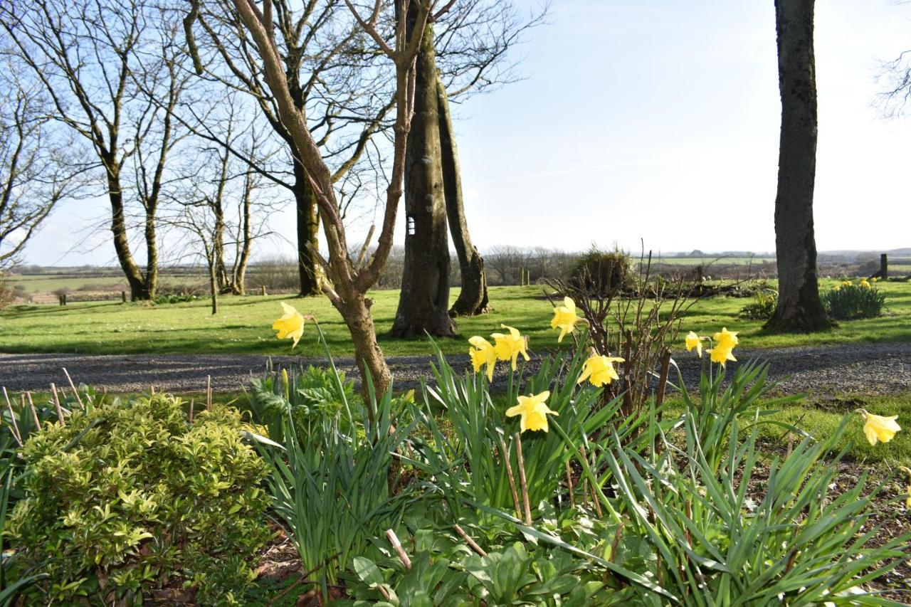 Crug Glas Country House St. Davids  Bagian luar foto