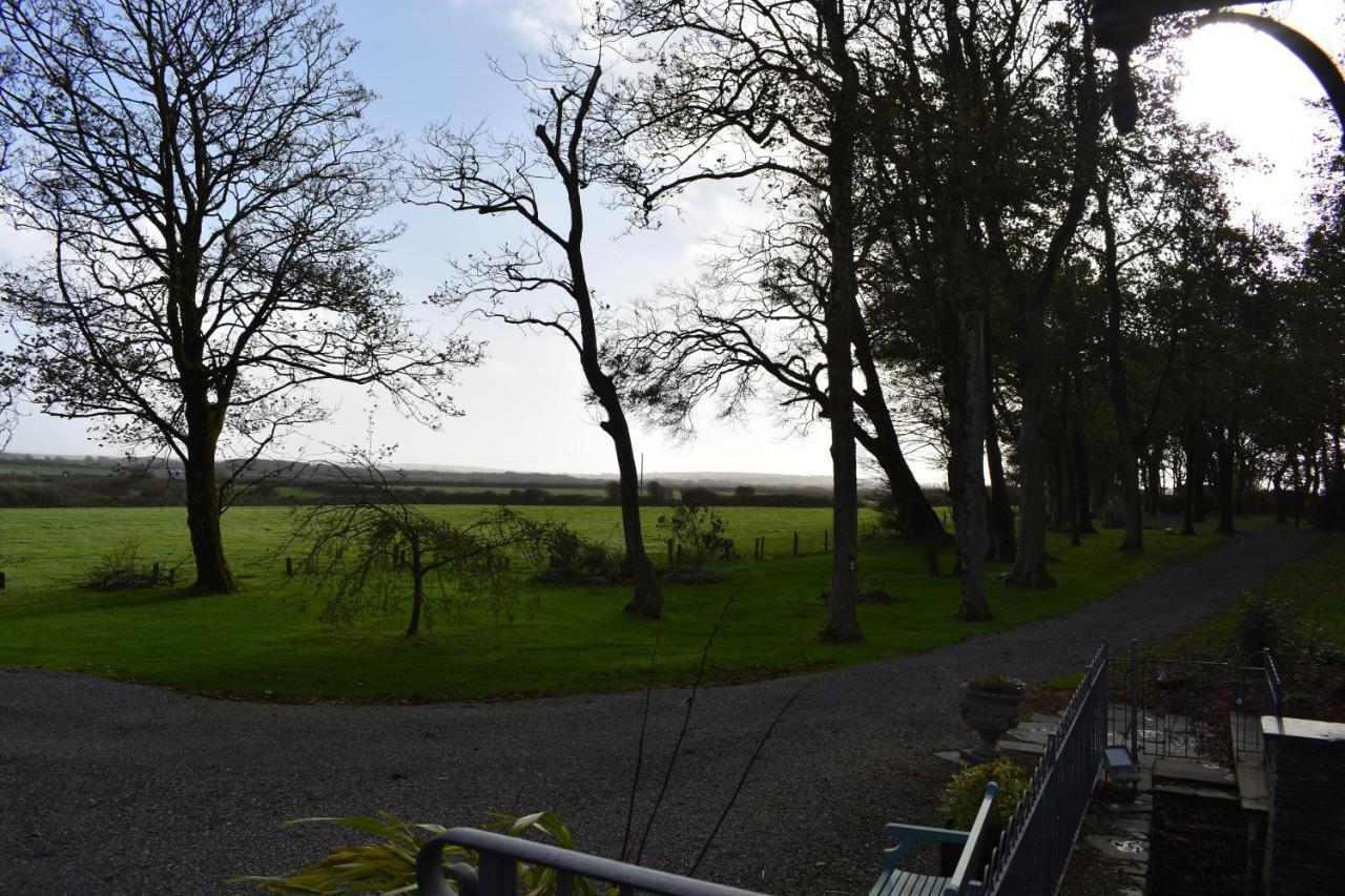 Crug Glas Country House St. Davids  Bagian luar foto