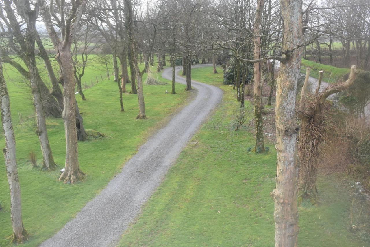 Crug Glas Country House St. Davids  Bagian luar foto